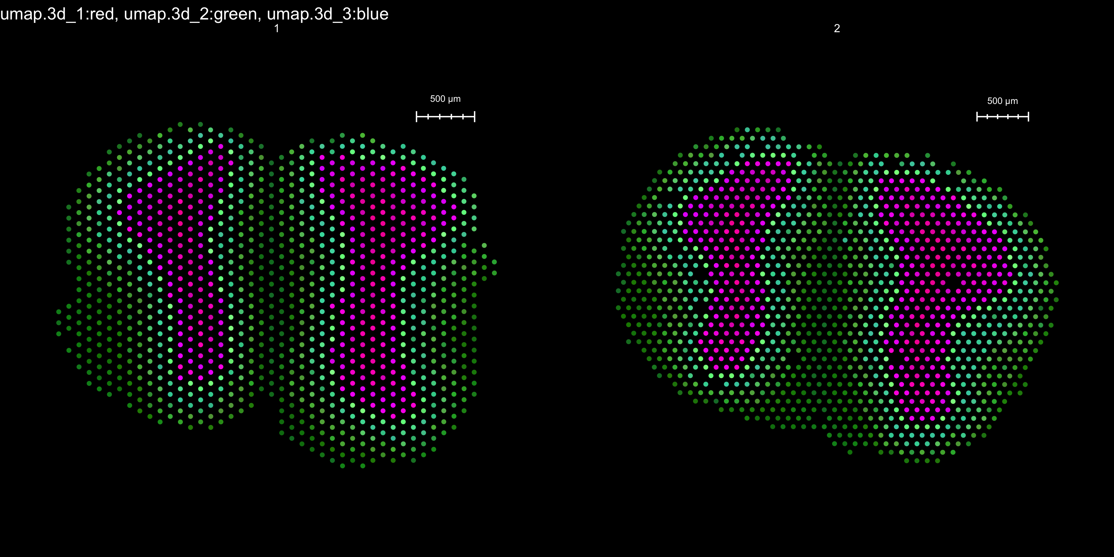Spatial color projection of a 3D UMAP