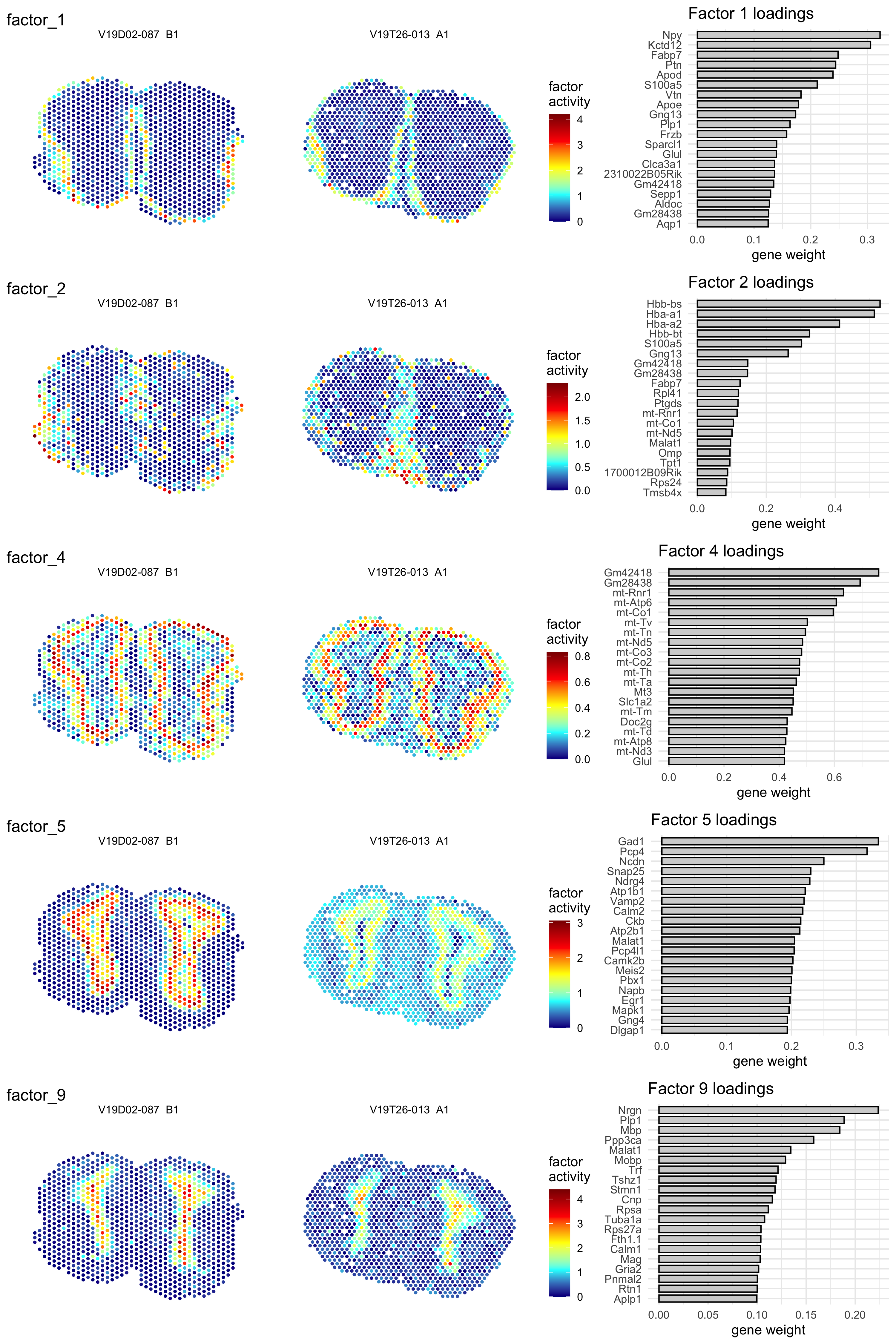 Five example factors from an NMF analysis with k = 10. The left hand side shows the activity of the factor on the tissue sections whereas the right hand side shows the top contributing genes with their associated weights