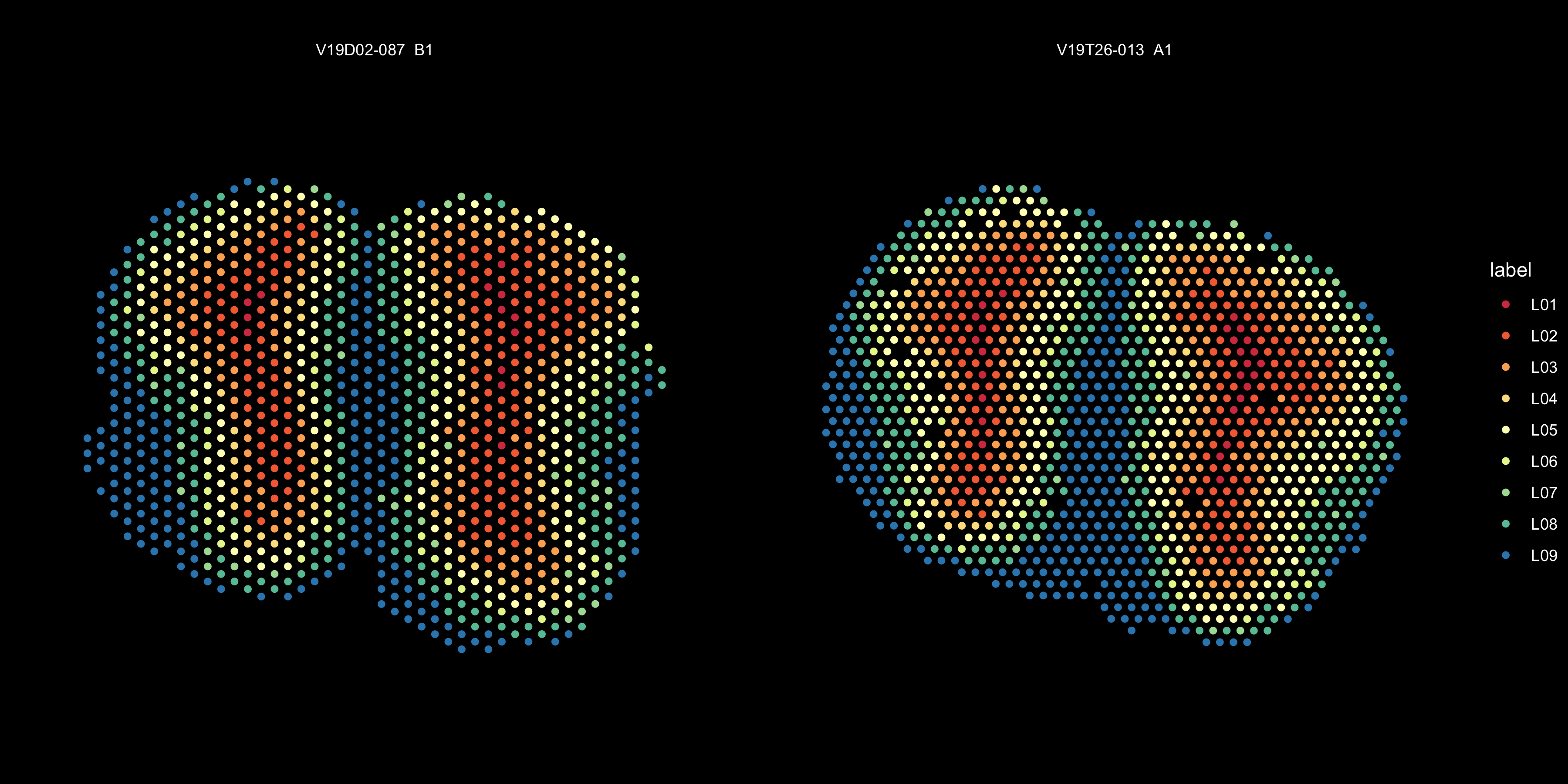 Spatial distribution of clusters