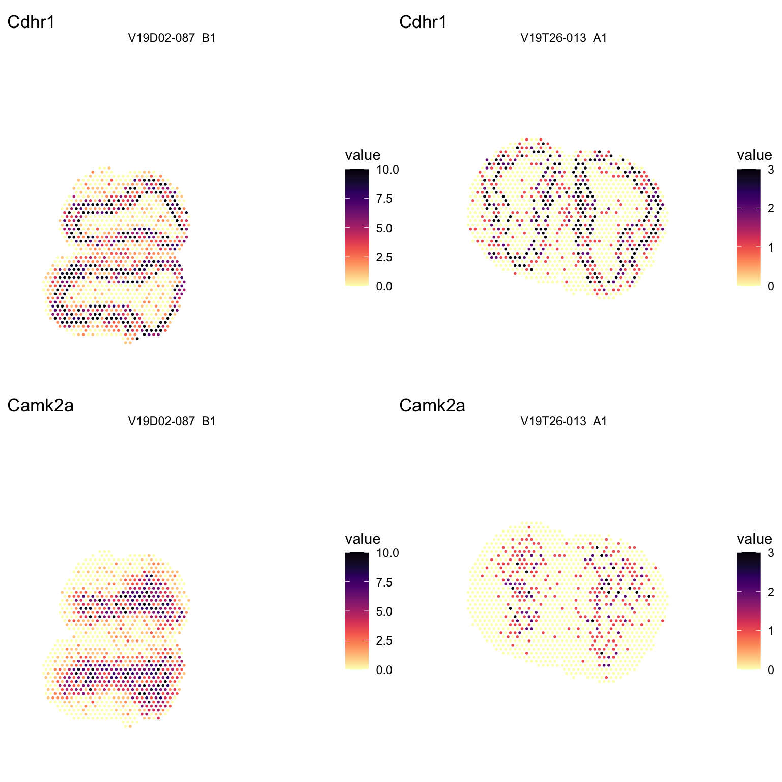 Spatial distribution of marker genes.