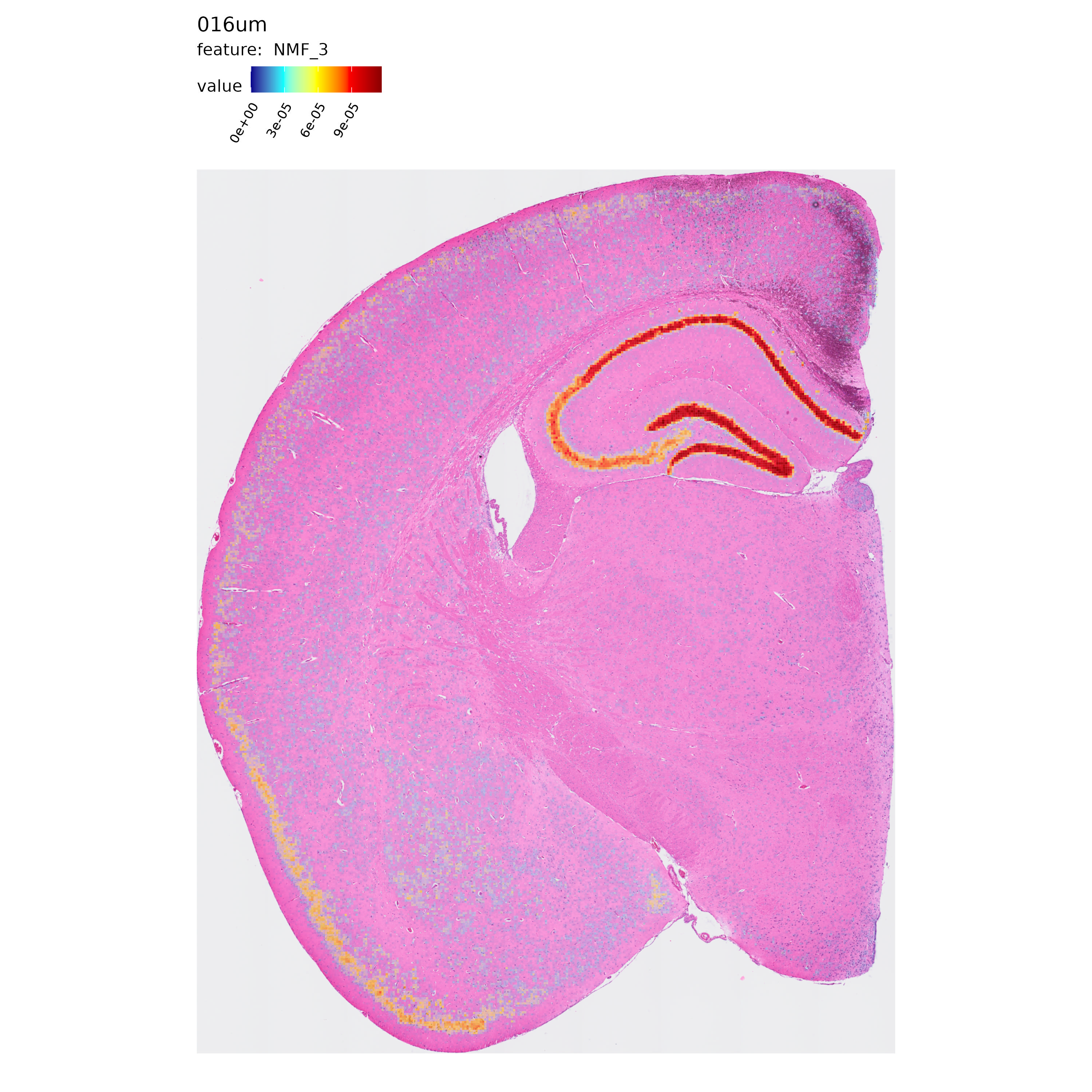 1. NMF factors identified at 16ums.